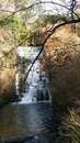 IMG-20210302-WA0000.jpg